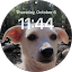 Profile photo of Kat Ferrenburg