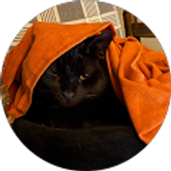 Profile photo of Tammy Workman