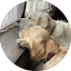 Profile photo of Allan Cushing