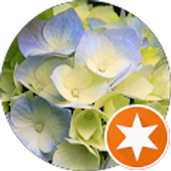 Profile photo of D. A.