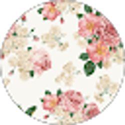 Profile photo of Sabrina Zakhary