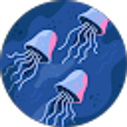 Profile photo of koda