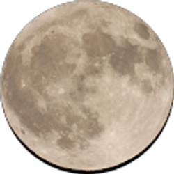 Profile photo of Trinabh Shukla