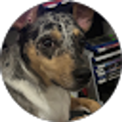 Profile photo of Thomas Lockett