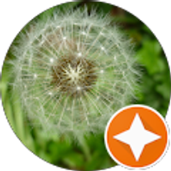 Profile photo of Laura McShane