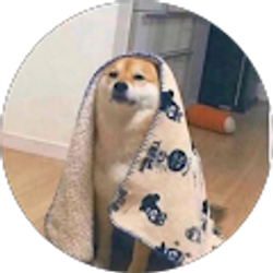 Profile photo of Tim Harvey