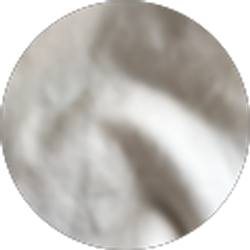 Profile photo of Liz