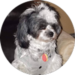 Profile photo of Joan Gilpin