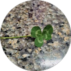 Profile photo of Michelle Reed