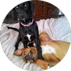 Profile photo of Darlin' Neal