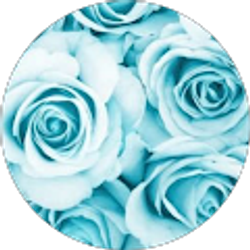 Profile photo of Oliwia Zdunek