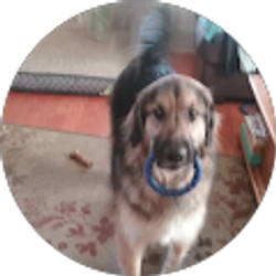 Profile photo of kelly schmid