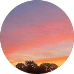 Profile photo of Sarah E