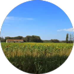 Profile photo of Liz Bertrand