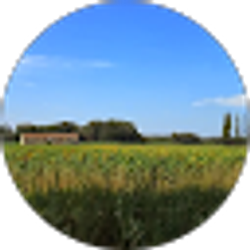 Profile photo of Liz Bertrand