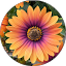 Profile photo of Samantha Pivola