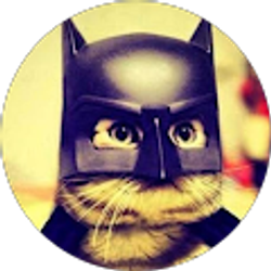 Profile photo of carlos velasco