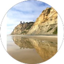 Profile photo of Amie Moore