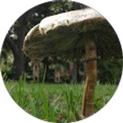 Profile photo of Erin Sanders