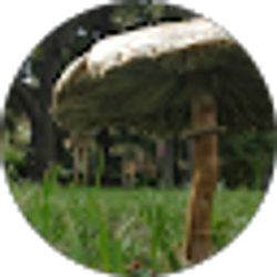 Profile photo of Erin Sanders