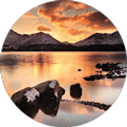 Profile photo of sumayya el-amin