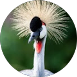 Profile photo of Sonja Parish