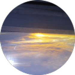 Profile photo of Pamela Taylor