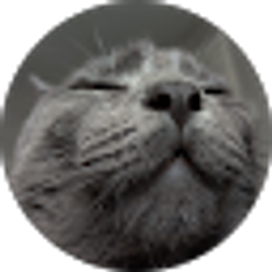 Profile photo of Jazmine -
