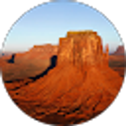 Profile photo of Zeleke T