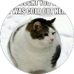 Profile photo of Cesar Arcos