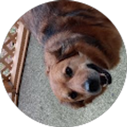 Profile photo of Vicky Mccleese