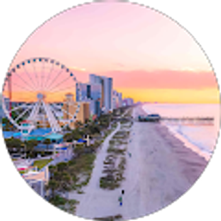 Profile photo of Raymond C Mitchell