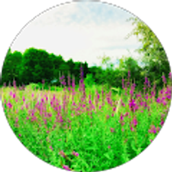 Profile photo of Lisa Gilliam