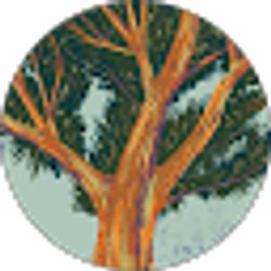 Profile photo of Christie Joe