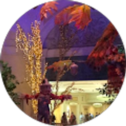 Profile photo of armando ceniceros