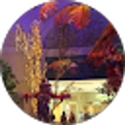 Profile photo of armando ceniceros