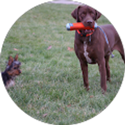 Profile photo of Bruce Foote