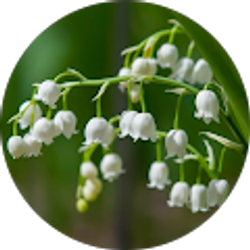 Profile photo of Tonya G-Gaskins