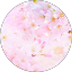 Profile photo of Shaniya Harris