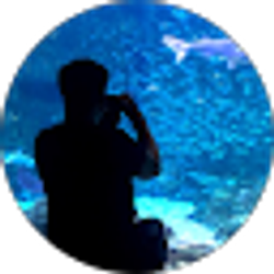 Profile photo of Andrew Rodriguez