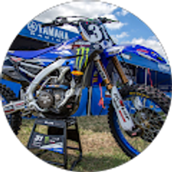 Profile photo of David Abramyan