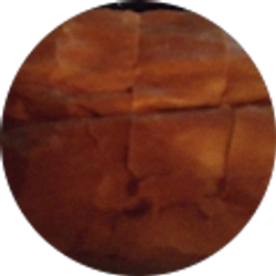 Profile photo of Schoebs 04