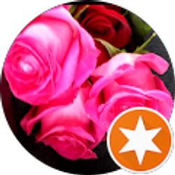 Profile photo of HJ Oh