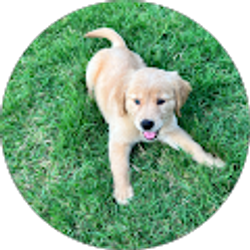 Profile photo of Alejandro Montes