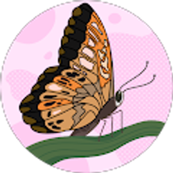 Profile photo of Griselda Corado