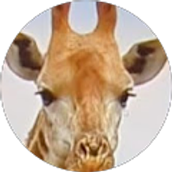 Profile photo of Sheryl Anderson