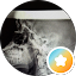 Profile photo of Forrest