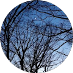 Profile photo of Citlalih Rodriguez