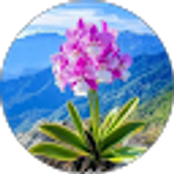 Profile photo of veronica Tovar