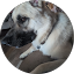 Profile photo of Rick Taylor